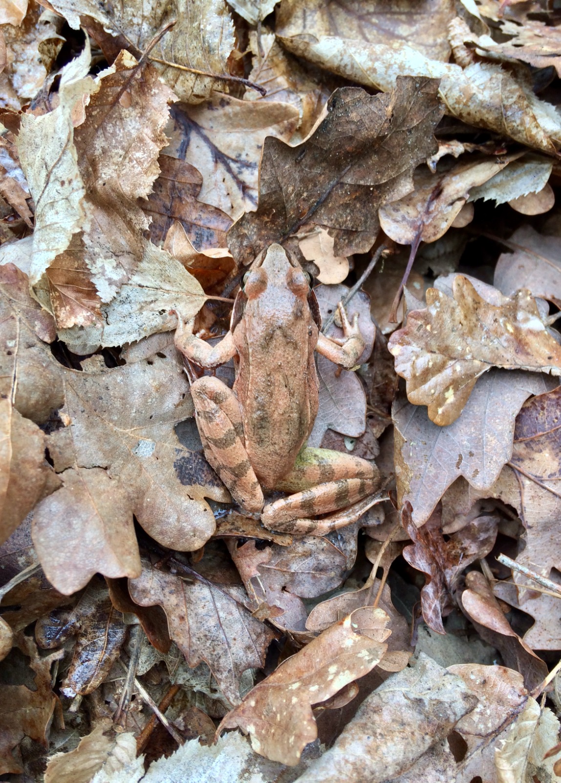 whatsapp image 2025 10 23 at 17.07.50