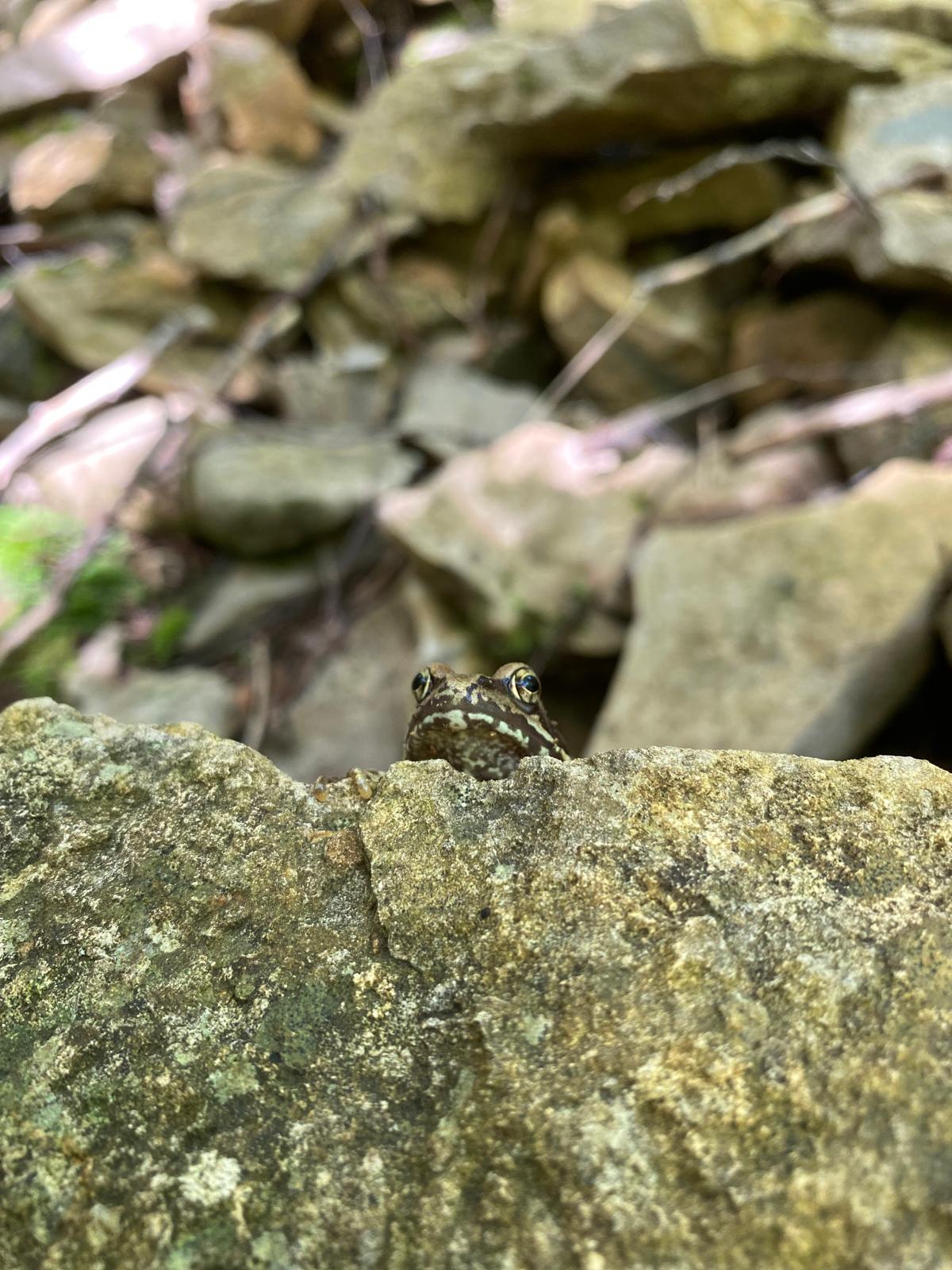 whatsapp image 2025 10 23 at 17.11.38 (5)