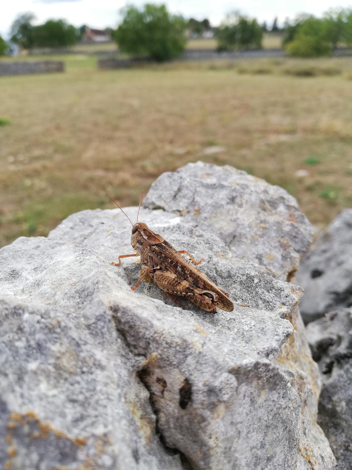 whatsapp image 2025 10 23 at 17.11.38