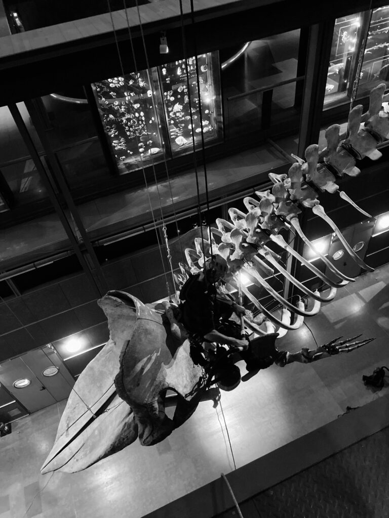 whatsapp image 2025 12 04 at 06.59.11 whatsapp image 2025 12 04 at 06.59.11